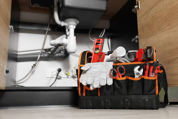 Best Plumbing Services Near Me  in Dousman, WI